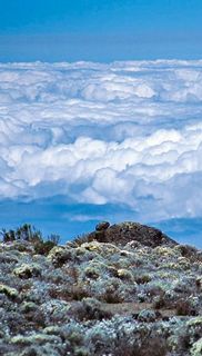 dépassement, espérance, lumière, kilimandjaro