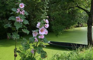mort, enneagramme, douleur, cancer, leçon, sagesse