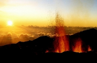 guérison, volonté, cancer