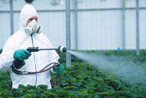 pesticide, poison, maladie, cancer, toxique, avenir, alimentation