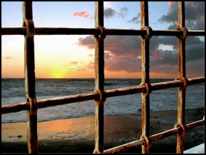 Derrière les barreaux, l'espoir