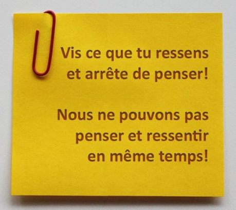 F.Duval-Levesque, psychotherapie, psychopraticien, hypnotherapeute, EMDR, sophrologie, coach, formateur, addiction, dependances, boulimie, depression, carpe diem