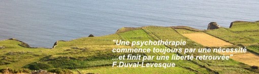 f-duval-levesque-psychotherapie-psychopraticien-hypnotherapeute-emdr-sophrologie-coach-formateur-addiction-dependances-boulimie-depression, citation