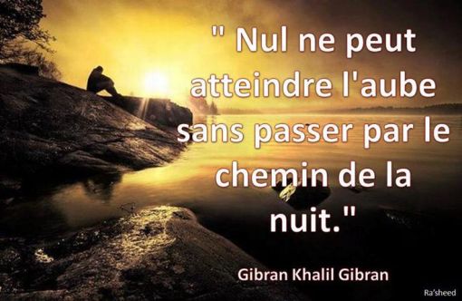 F.Duval-Levesque, psychothérapie, psychopraticien, hypnothérapeute, EMDR, sophrologie, coach, formateur, addiction, dépendances, boulimie, dépression