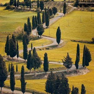 bien-etre, estime de soi, F.Duval-Levesque, therapeute en psychotherapie, psychopraticien certifie & coach, addiction sexuelle, boulimie, hyperphagie