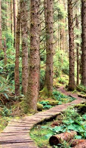 F.Duval-Levesque, psychotherapie, psychopraticien, hypnose, PNL, EMDR, sophrologie, coach, formateur, addiction, dependances, boulimie, depression