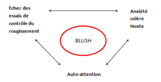 F.Duval-Levesque, psychotherapie, psychopraticien, hypnotherapeute, EMDR, sophrologie, coach, formateur, addiction, dependances, boulimie, depression, ereutophobie