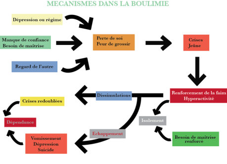 mécanismes de la boulimie, F.Duval-Levesque, psychotherapie, psychopraticien, hypnotherapeute, EMDR, sophrologie, coach, formateur, addiction, dependances, boulimie, depression