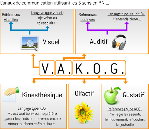 PNL, VAKOG, F.Duval-Levesque, psychotherapie, coach, psychopraticien, addiction, dependance, depression, mal-etre, soutien psy