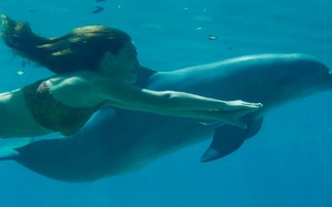 guerir de la boulimie, stop, F.Duval-Levesque, psychotherapie, coach, psychopraticien, addiction, dependance, depression, mal-etre, soutien psy