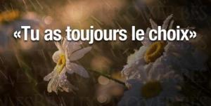 Citation