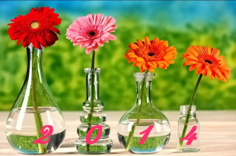 -hypnose-f-duval-levesque-psychotherapie-coach-psychopraticien-hypnose-emdr-sophrologie-addiction-dependance-depression-mal-etre-soutien-psy-boulimie-addiction-sexuelle, voeux bonne annee