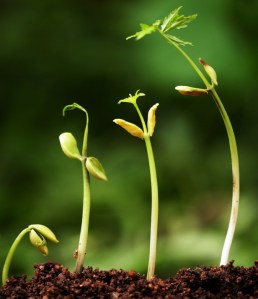 Comment faire du stress votre allié