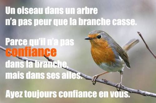 10409109_814395941940291_6604847594623999094_n