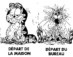 Burn out, F.Ducal-Levesque psychopraticien hypnotherapeute coach