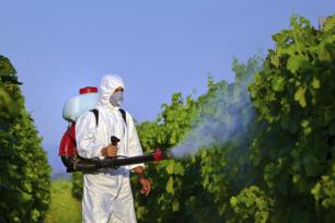 pesticides