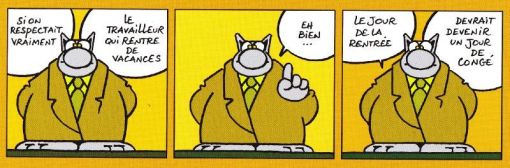 Le Chat, F.Duval-Levesque, psychopraticien, hypnothérapeute, coach, psychothérapie, soutien psychologique, coaching