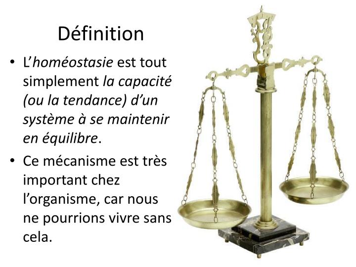 Homéostasie, Duval-Levesque,psychopraticien,coach,hypnotherapeute,addiction,dependance,boulimie,deuil, traumatisme,anxiete,peur,phobie, mal-etre,Toulouse,hypnose,PNL,bon,psy,stress,burn out, douleur,avis, temoignage