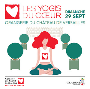 yoga, Duval-Levesque, psychopraticien, coach, hypnotherapeute, addiction, dependance, boulimie, deuil, traumatisme, anxiete, peur, phobie, mal-etre, Toulouse, hypnose, PNL, therapeute, stress, burnout, avis, temoignage