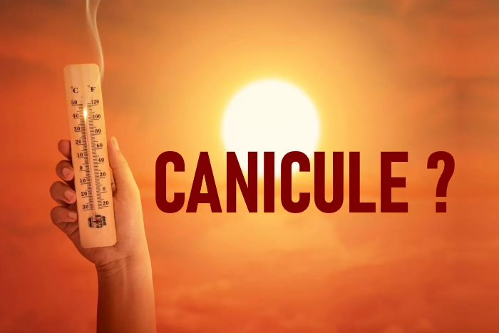 F. Duval-Levesque, psychopraticien,hypnose, coach, mal-être, anxiété, angoisse, addiction, traumatisme, peur, tabac, phobie, souffrance, stress, burnout, PNL, téléséance, téléconsultation,avis, témoignage (2)