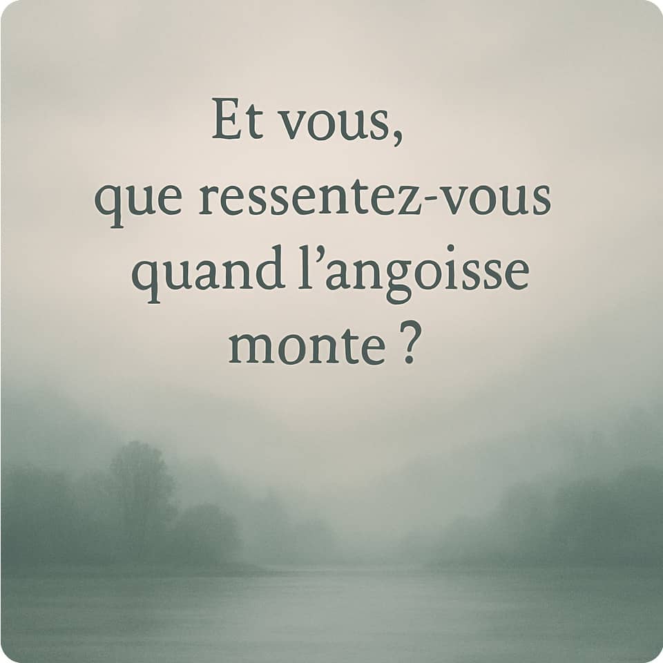 Frédéric-Duval_levesque_psy-coach-spécialiste-crise-angoisse-et-anxiété_séances-en-visio(1)